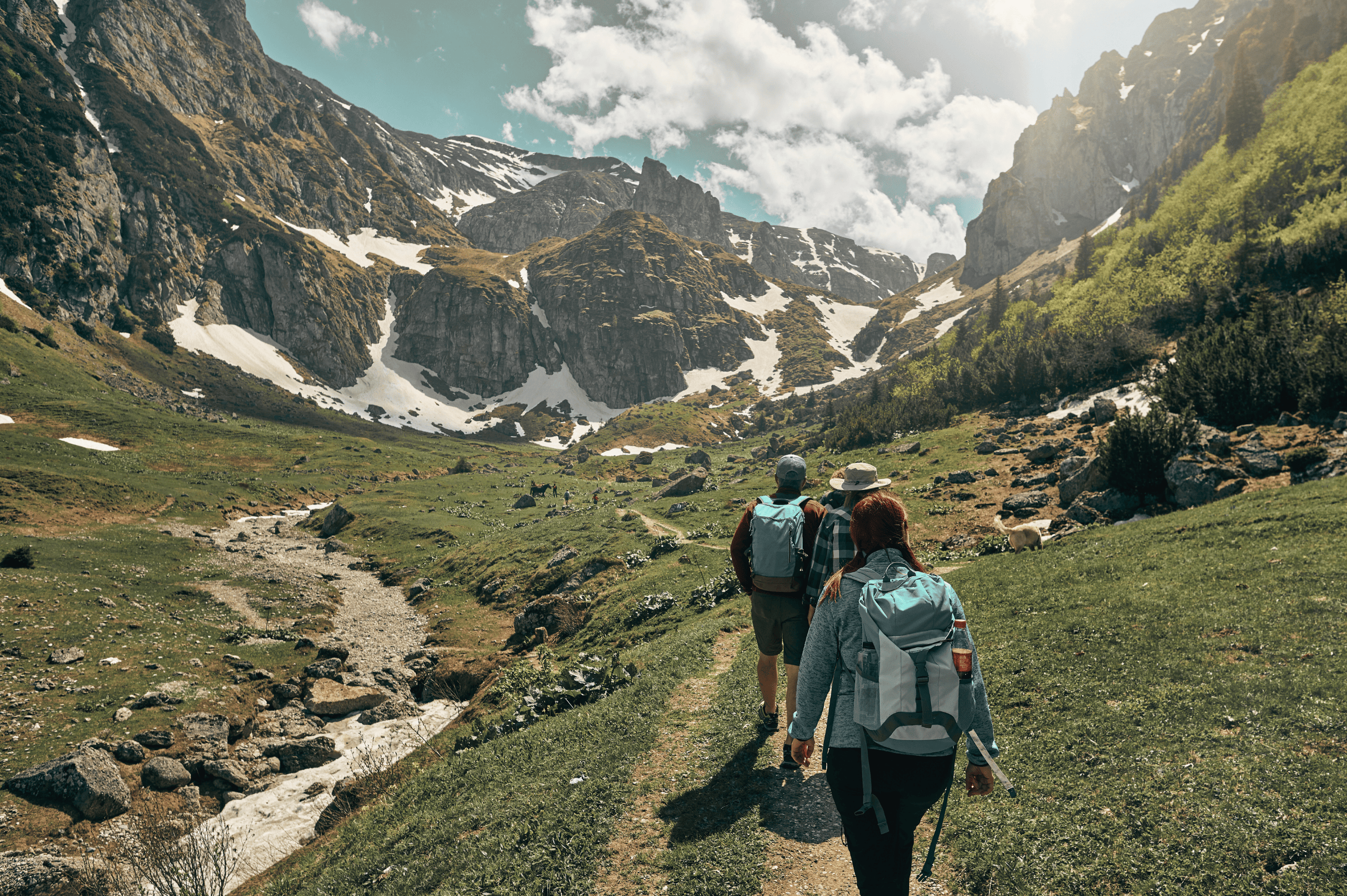 Arminius PRO - Groepsreizen 2/3